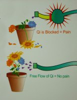 Qi is blocked = pain. Free flow of Qi = no pain.